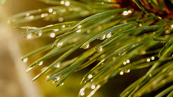 Background, Drops HD wallpaper