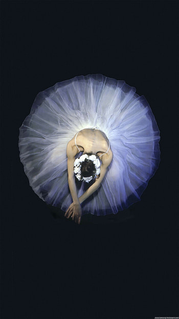 Ballet on , Stock , Samsung Galaxy S5, Dance and elegance HD phone wallpaper