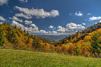 Great Smoky Mountains, National Park, Guide, Blue Ridge Mountain life HD wallpaper