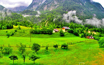 PEACEFUL MEADOW, wood, clouds, trees, meadow, grass, houses, mountains, Slovenia HD wallpaper