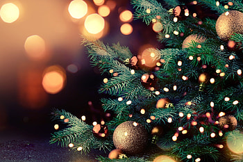 Christmas live , Dynamic screensavers, s, Festive joy HD wallpaper