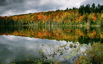 Autumn Lake, clouds, autumn, lake, fall HD wallpaper