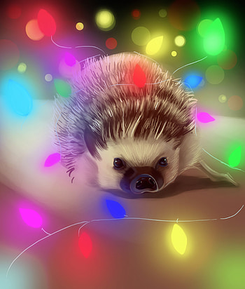 Art, Glare, Multicolored, Motley, Garland, Hedgehog HD phone wallpaper