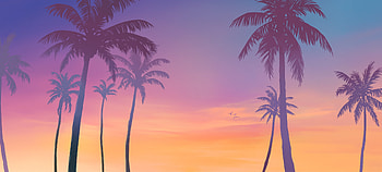 Next Grand Theft Auto Background, video game, Grand Theft Auto VI, Grand Theft Auto HD wallpaper