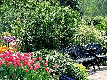 Sit down and enjoy....., benches, garden, flowers, park HD wallpaper
