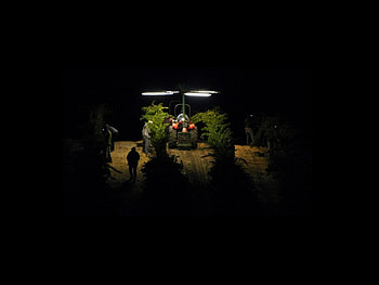 night truck, night, farmers, dark, truck HD wallpaper