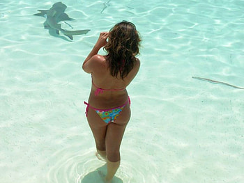good foto, women, girl, bikini, beach HD wallpaper