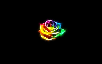 Abstract, Roses, Fire, Flower, Flame, Multicolored, Motley HD wallpaper