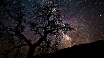 fantasy Art, Vincent Van Gogh, The Starry Night, Classy . HD wallpaper