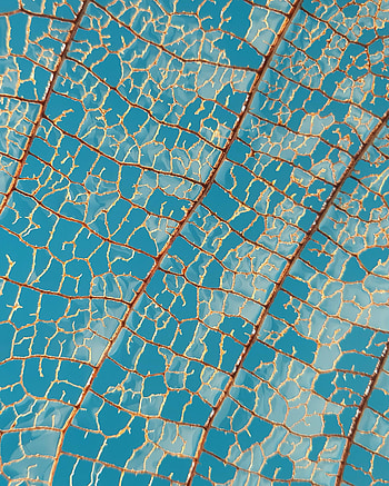 Sky, Macro, Sheet, Leaf, Veins HD phone wallpaper