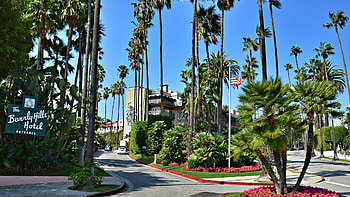 Beverly Hills, Top Beverly Hills backgrounds HD wallpaper