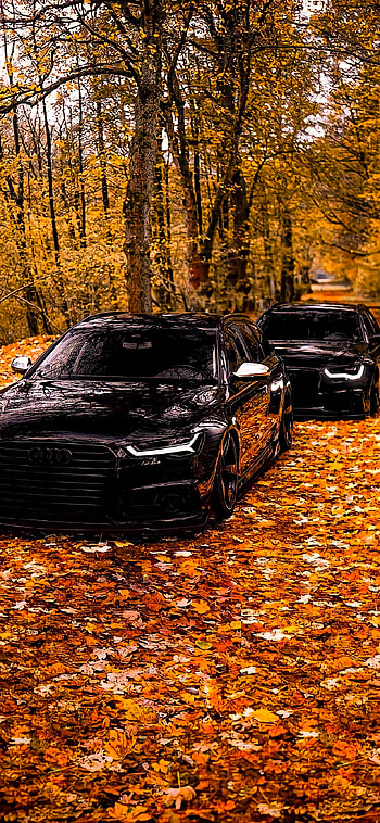AUDI AUTUMN, automotive lighting, car HD phone wallpaper