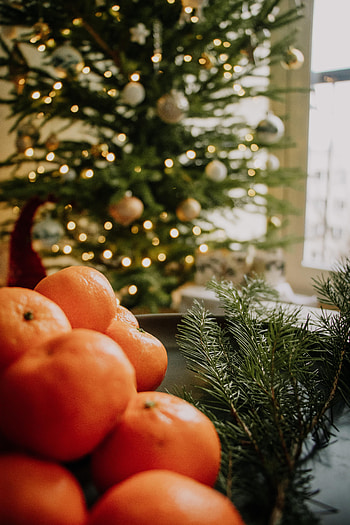 Fruits, Food, Tangerines, Branch, Citrus, Christmas Tree HD phone wallpaper