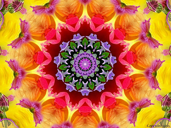 SHADES OF YELLOW, ART, FRACTAL, ABSTRACT HD wallpaper