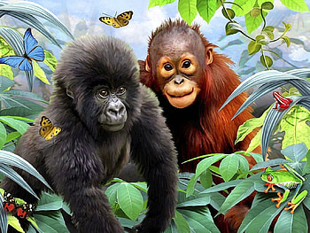 Jungle Buddies, jungle, plants, animals, buddies HD wallpaper