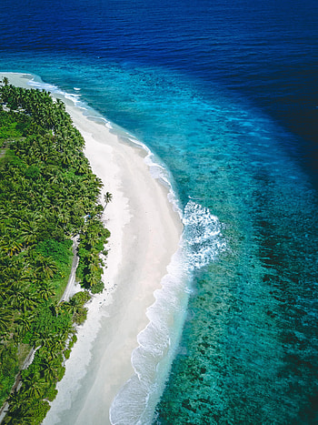 Sea, Nature, Beach, Sand, View From Above, Coast HD phone wallpaper