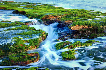 Moss, rocks, river, nature, landscape HD wallpaper