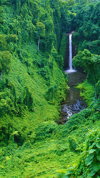 Aesthetic waterfall, Captivating beauty, , Nature's serenity HD phone wallpaper