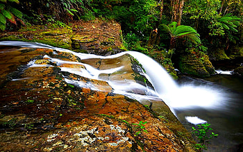 WATERFALLS, west tasmania countries park, geography, australia, europe, tasmania, hobart HD wallpaper