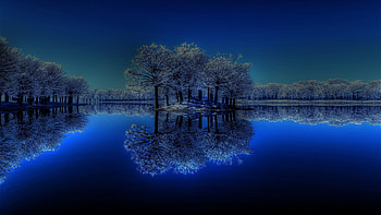 Winter trees reflection, Water, Starry, Nighttime, Sky HD wallpaper