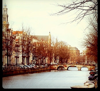 Amsterdam, winter, river, graphy, , , netherlands, buildings, pic, trees, wall, , graph, europe, city, view, bridge, holland HD wallpaper