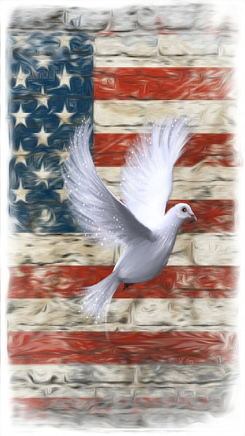 DOM, usa, flag, dove, awakening, patriot HD phone wallpaper