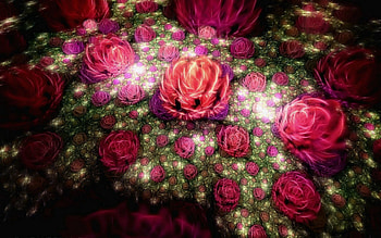 Abstract, Roses, Leaves, Fractal, Colorful, Colourful, Buds HD wallpaper