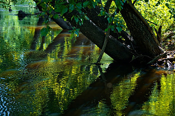 Lake beauty, reflection, trees, nature, water, lake HD wallpaper
