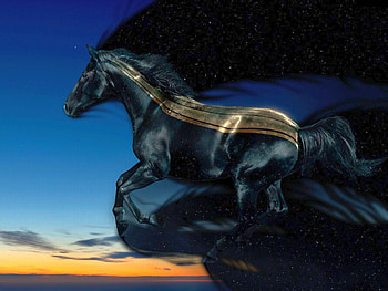 Flying Horse, flying, horse, beautiful HD wallpaper
