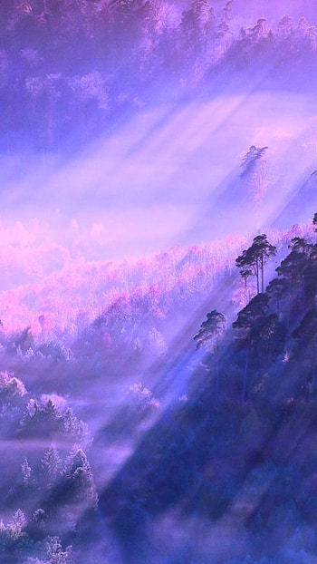 Aesthetic, Purple Background HD phone wallpaper