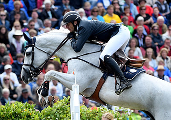 Gregory Wathelet, Equitation HD wallpaper