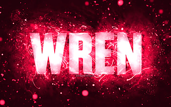 Happy Birtay Wren, , pink neon lights, Wren name, creative, Wren Happy Birtay, Wren Birtay, popular american female names, with Wren name, Wren HD wallpaper