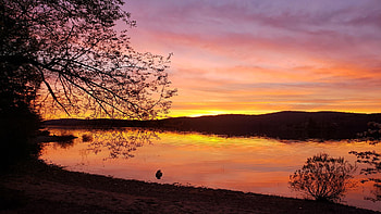 Stillwater Reservoir, Western Adirondacks, water, sunset, landscape, colors, trees, sky, usa HD wallpaper
