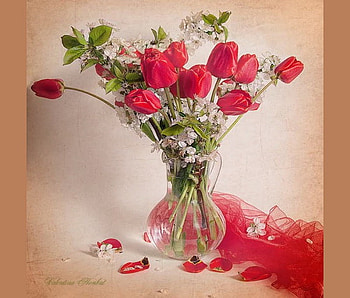 Red beauties, vase, green leaves, tulips, red HD wallpaper