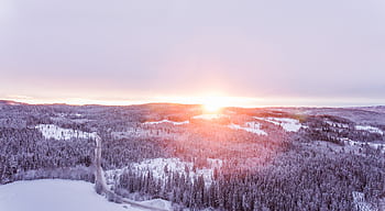 A breathtaking aerial view of a snowy Norwegian forest at sunrise, capturing the serene winter landscape. HD wallpaper
