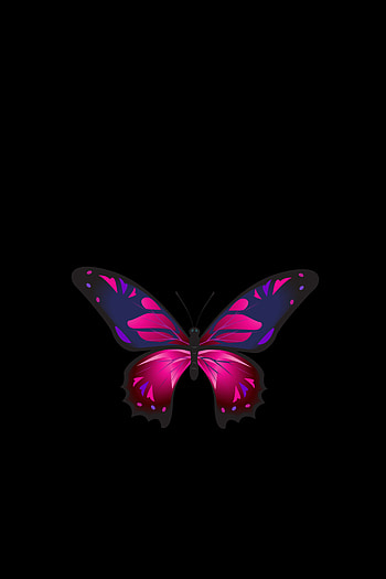Patterns, Dark, Dark Background, Butterfly, Wings HD phone wallpaper