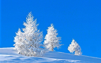 winter hq pic HD wallpaper