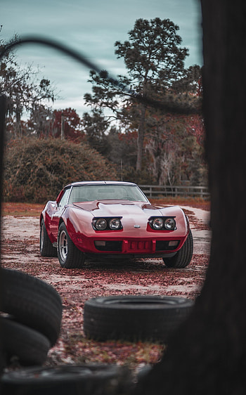 Cars, Car, Front View, Classic, Chevrolet Corvette HD phone wallpaper