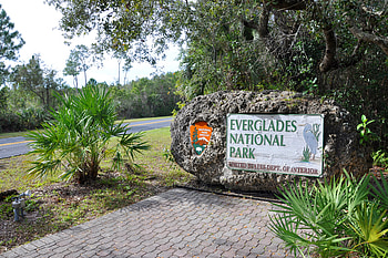 Everglades National Park, Essential facts, Captain Mitch's airboat rides, Discover the beauty HD wallpaper