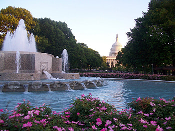 Building, Garden, , Flower, Fountain HD wallpaper