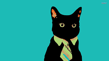 Amazing Cat Meme HD wallpaper