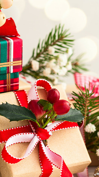 Close-up, Mistletoe HD phone wallpaper