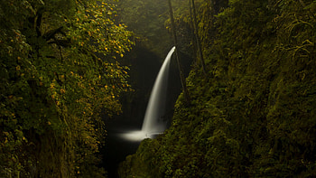Landscape View Of Waterfall Pouring On River Yellow Green Leaves Tree Branches Bushes Forest Background Nature HD wallpaper