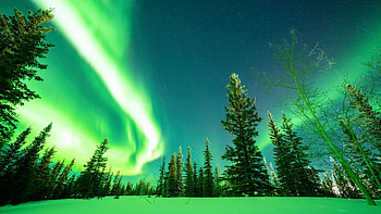 Aurora Borealis from Fort Yukon, Alaska, lights, snow, northern, landscape, trees, usa HD wallpaper