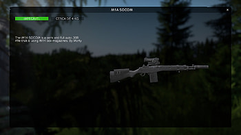 Gun, video game, DayZ HD wallpaper