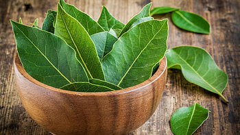 Leave a bay leaf, Spaghetti sauce, Recipes, Lifesavvy HD wallpaper