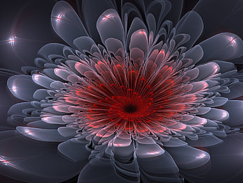 ❀ღ**❖❀ star_flower ❀ღ**❖❀, star, fractal, abstract, flower HD wallpaper