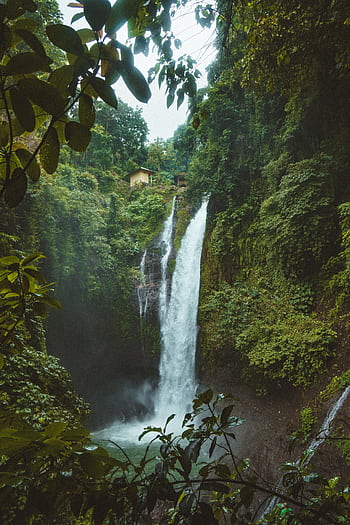 Stunning waterfall in a lush tropical rainforest in Sukasada, Bali. Perfect for nature lovers. HD phone wallpaper