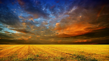 Field of Bad Weather, horizon, cloudy, weather, veil, bad, field, layers, clouds, nature HD wallpaper