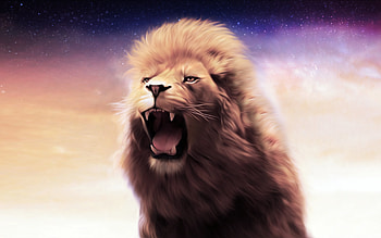 Animals, Art, Grin, Lion, Mane HD wallpaper